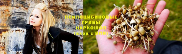 a pvp Балабаново