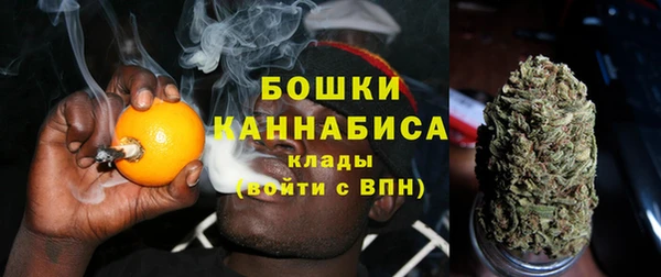 ПСИЛОЦИБИНОВЫЕ ГРИБЫ Арсеньев